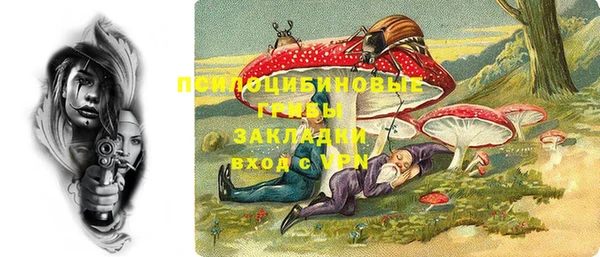 тгк Рославль