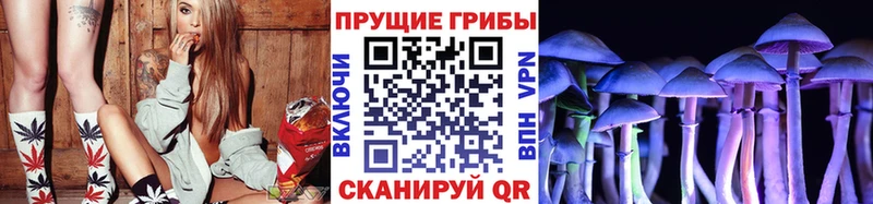 даркнет сайт  Петровск-Забайкальский  Галлюциногенные грибы мицелий 